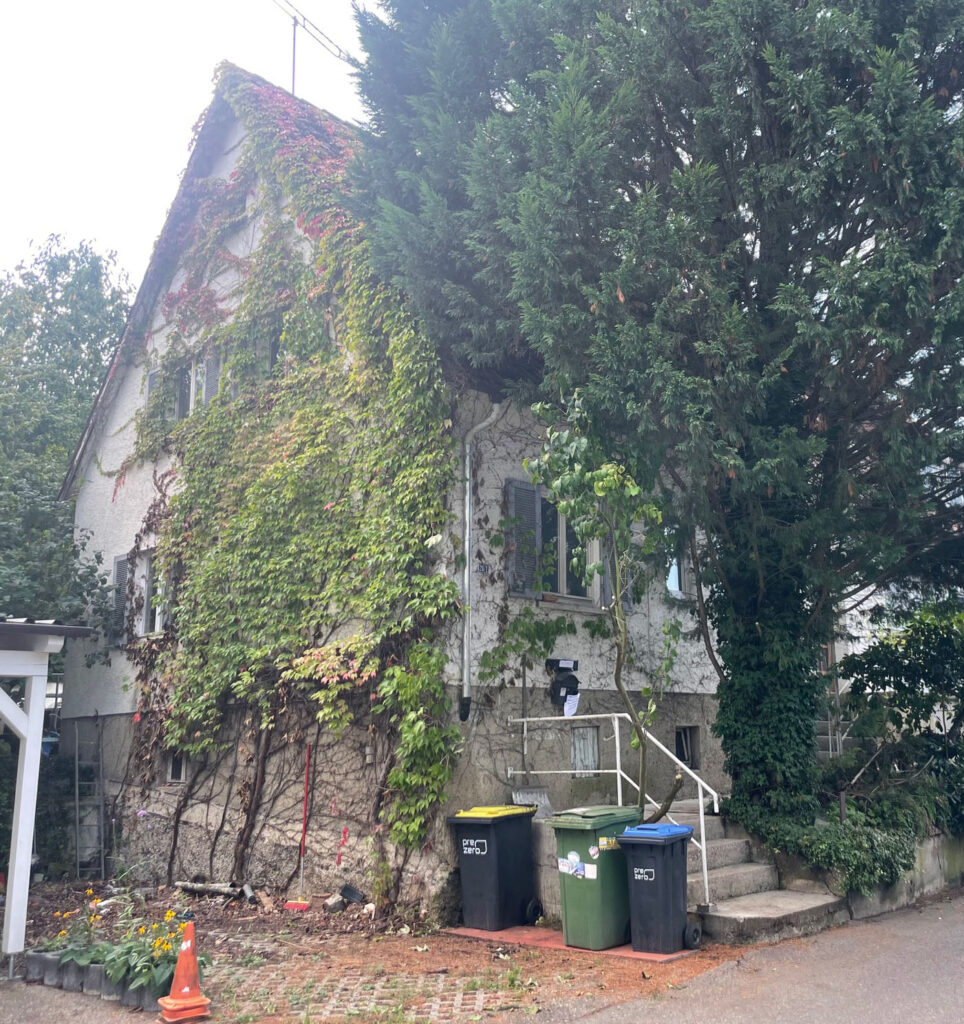 Haus, schräg von vorne gesehen mit wildem Wein bewachsen mit großeM Baum vor dem Haus